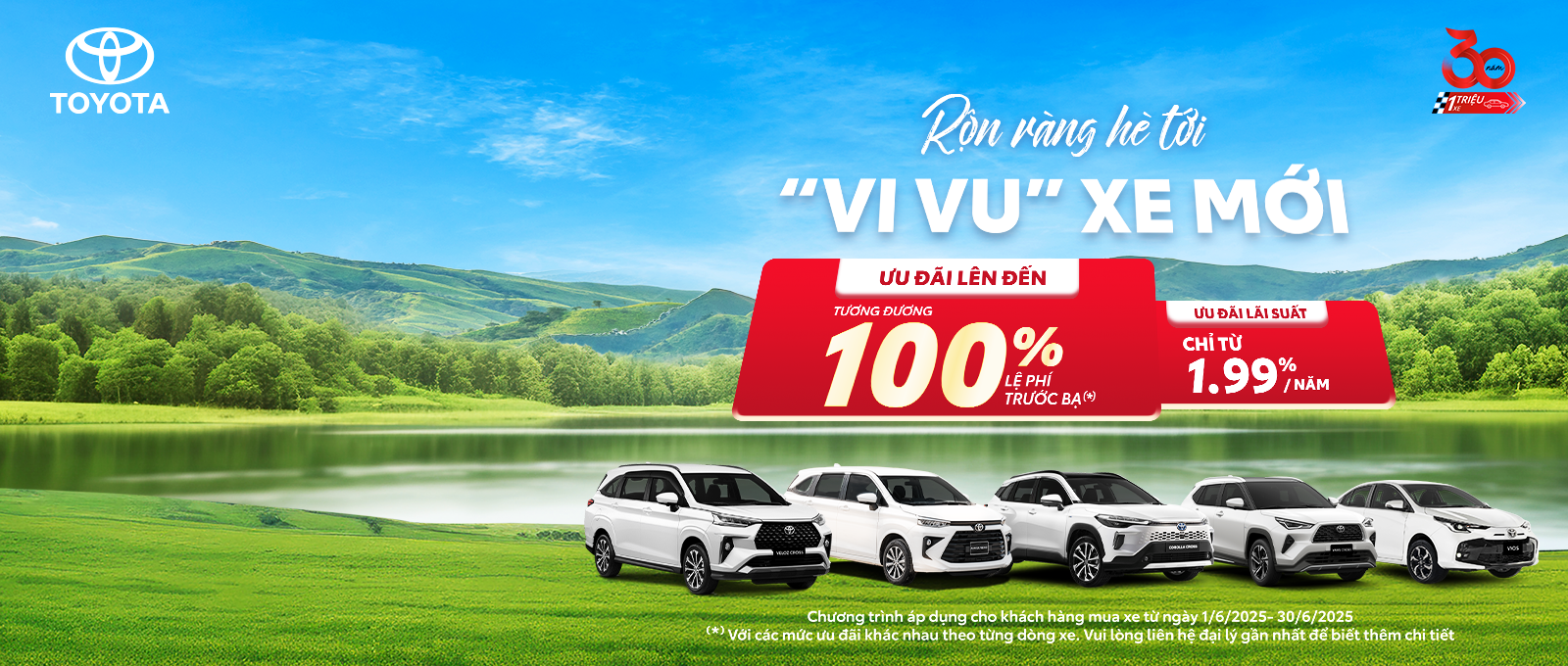 vi vu xe hoi